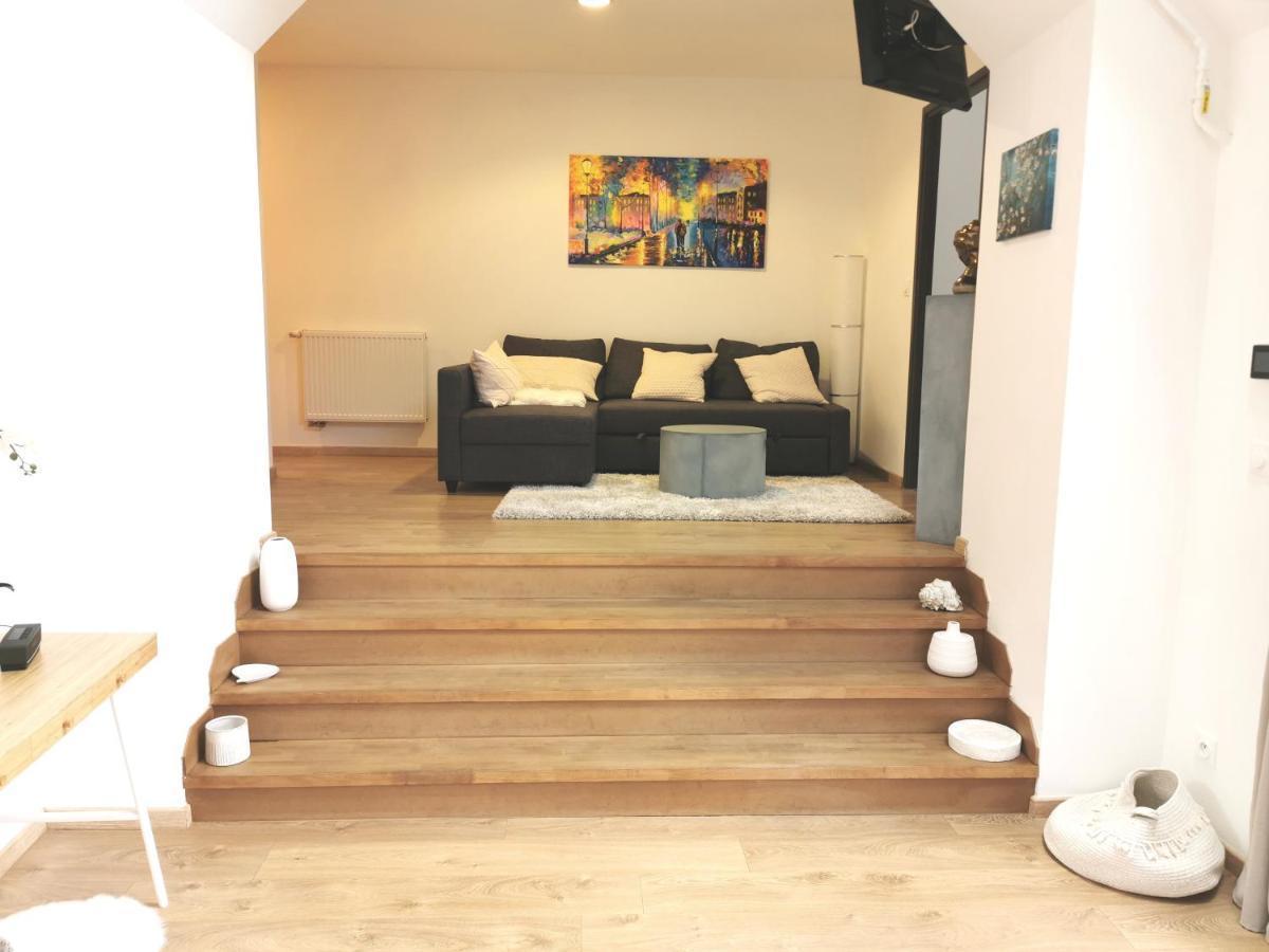 Appartement De Standing 8 Personnes Centre Historique De Colmar Luaran gambar