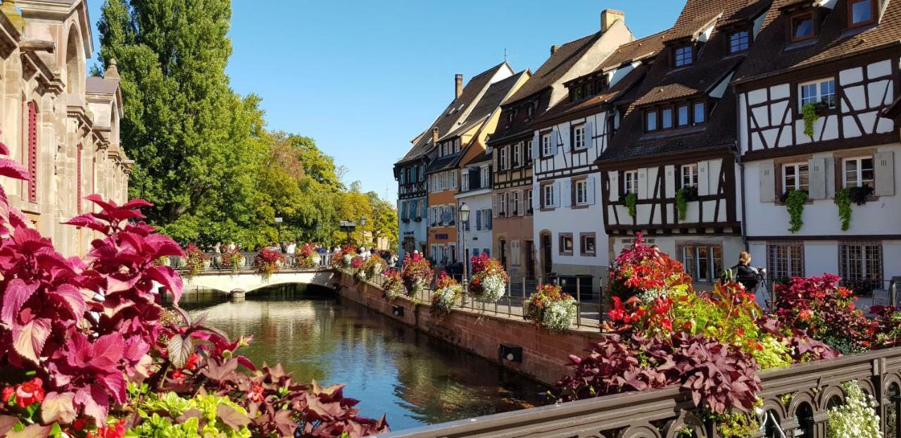 Appartement De Standing 8 Personnes Centre Historique De Colmar Luaran gambar